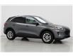 2022 Ford Escape SE (Stk: F0635) in Saskatoon - Image 13 of 22