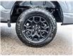 2025 Ford F-150 XLT (Stk: 250255) in Toronto - Image 19 of 23