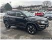 2018 Jeep Compass Trailhawk (Stk: 161560) in London - Image 26 of 26