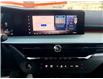 2025 Nissan Murano SL (Stk: 15593) in Okotoks - Image 13 of 17