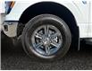 2025 Ford F-150 XLT (Stk: 25T027) in ROCKY MOUNTAIN HOUSE - Image 14 of 15