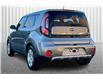 2019 Kia Soul EX (Stk: 24M9831A) in Cranbrook - Image 12 of 30