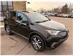 2017 Toyota RAV4 LE (Stk: A-588780) in Moncton - Image 7 of 20