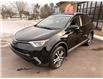 2017 Toyota RAV4 LE (Stk: A-588780) in Moncton - Image 3 of 20