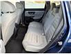 2017 Honda CR-V LX (Stk: A-110601) in Moncton - Image 19 of 20