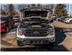 2023 Ford F-150 XLT (Stk: KU0339) in Okotoks - Image 25 of 29