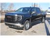 2025 GMC Sierra 1500 Pro (Stk: 155434) in Red Deer - Image 8 of 23