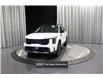 2024 Kia Sorento 2.5T X-Line Limited w/Olive Brown Interior (Stk: 25740D) in Edmonton - Image 2 of 28