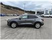 2024 Ford Escape Active (Stk: 4S024) in Williams Lake - Image 2 of 13