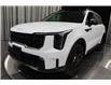 2024 Kia Sorento 2.5T X-Line Limited w/Olive Brown Interior (Stk: 25650D) in Edmonton - Image 6 of 26