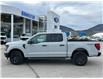 2024 Ford F-150 STX (Stk: 57B46219) in Penticton - Image 5 of 19