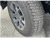 2024 Ford F-150 STX (Stk: 57B46219) in Penticton - Image 3 of 19
