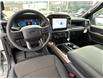 2024 Ford F-150 STX (Stk: 57B46219) in Penticton - Image 14 of 19