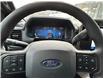 2024 Ford F-150 STX (Stk: 57B46219) in Penticton - Image 15 of 19
