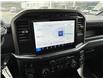2024 Ford F-150 STX (Stk: 57B46219) in Penticton - Image 12 of 19