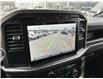 2024 Ford F-150 STX (Stk: 57B46219) in Penticton - Image 13 of 19