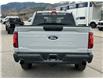2024 Ford F-150 STX (Stk: 57B46219) in Penticton - Image 6 of 19