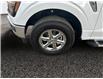2025 Ford F-150 XLT (Stk: 25T011) in ROCKY MOUNTAIN HOUSE - Image 14 of 15