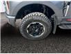 2025 Ford F-350 Platinum (Stk: 25T032) in ROCKY MOUNTAIN HOUSE - Image 14 of 15