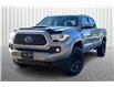 2019 Toyota Tacoma SR5 V6 (Stk: NI6267) in Cranbrook - Image 1 of 30