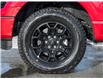 2025 Ford F-150 XLT (Stk: 25F7519) in Mississauga - Image 6 of 30