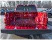 2025 Ford F-150 XLT (Stk: 25F7519) in Mississauga - Image 12 of 30