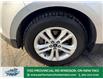 2020 Ford Edge  (Stk: PR62600) in Windsor - Image 2 of 27