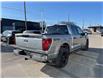 2025 Ford F-150 STX (Stk: VF1F00566) in Chatham - Image 4 of 21