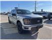 2025 Ford F-150 STX (Stk: VF1F00566) in Chatham - Image 5 of 21