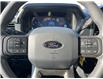 2025 Ford F-150 STX (Stk: VF1F00566) in Chatham - Image 14 of 21