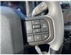 2025 Ford F-150 STX (Stk: VF1F00566) in Chatham - Image 19 of 21
