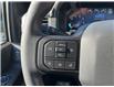 2025 Ford F-150 STX (Stk: VF1F00566) in Chatham - Image 20 of 21