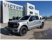 2025 Ford F-150 STX (Stk: VF1F00566) in Chatham - Image 21 of 21
