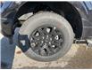 2025 Ford F-150 XLT (Stk: VF1F00594) in Chatham - Image 7 of 20