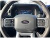 2025 Ford F-150 XLT (Stk: VF1F00594) in Chatham - Image 13 of 20