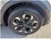 2023 Kia Sportage X-Line Limited w/Green Interior (Stk: B1801) in Sarnia - Image 11 of 30 2023 Kia Sportage X-Line Limited w/Green Interior (Stk: B1801) in Sarnia - Image 11 of 30