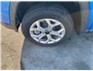 2025 Jeep Compass Sport (Stk: 7395) in Fort Erie - Image 4 of 23