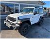 2025 Jeep Wrangler Sport (Stk: 7407) in Fort Erie - Image 3 of 22