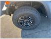 2025 Jeep Wrangler Sport (Stk: 7407) in Fort Erie - Image 4 of 22