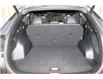 2023 Kia Sportage X-Line Limited w/Green Interior (Stk: 25404D) in Edmonton - Image 24 of 30