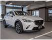 2019 Mazda CX-3 GT (Stk: 25817A) in Kingston - Image 3 of 18