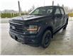 2025 Ford F-150 XLT (Stk: 25089) in Port Alberni - Image 8 of 30