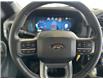 2025 Ford F-150 XLT (Stk: 25089) in Port Alberni - Image 17 of 30
