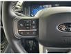 2025 Ford F-150 XLT (Stk: 25084) in Port Alberni - Image 21 of 26
