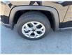 2025 Jeep Compass Sport (Stk: 7403) in Fort Erie - Image 4 of 25