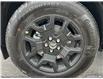 2025 Ford Bronco Sport Big Bend (Stk: BH029) in Sault Ste. Marie - Image 6 of 20