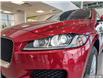2019 Jaguar F-PACE 30t Prestige (Stk: 365072P) in Brampton - Image 6 of 20