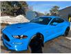 2022 Ford Mustang GT Premium (Stk: 15843) in Newmarket - Image 1 of 50