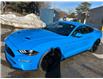 2022 Ford Mustang GT Premium (Stk: 15843) in Newmarket - Image 21 of 50
