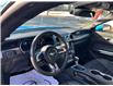 2022 Ford Mustang GT Premium (Stk: 15843) in Newmarket - Image 5 of 50